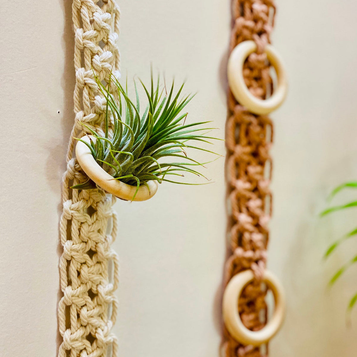Macrame Wand Pflanzenhalter Brehn