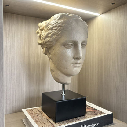 Künstlerische Kopfskulptur