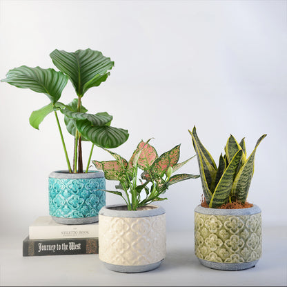 Blumentopf Brehn