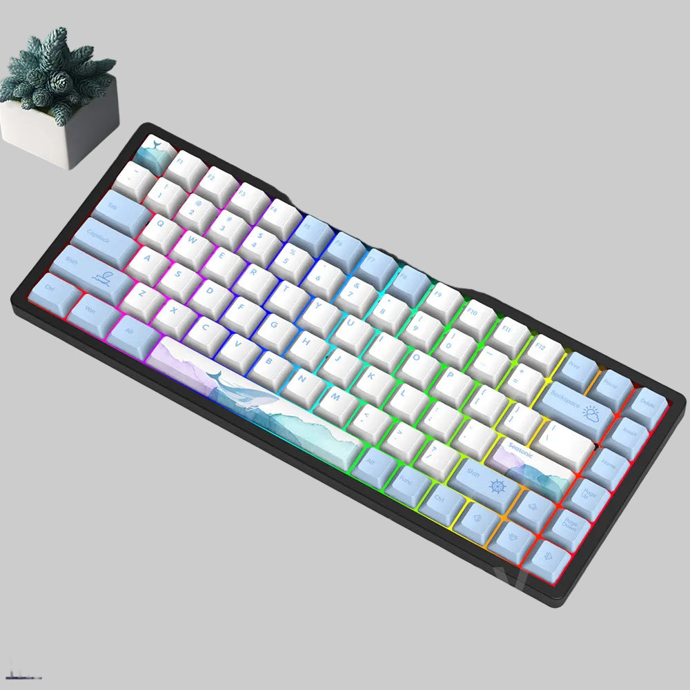 Drahtlose Gaming Mechanische Tastatur Brehn