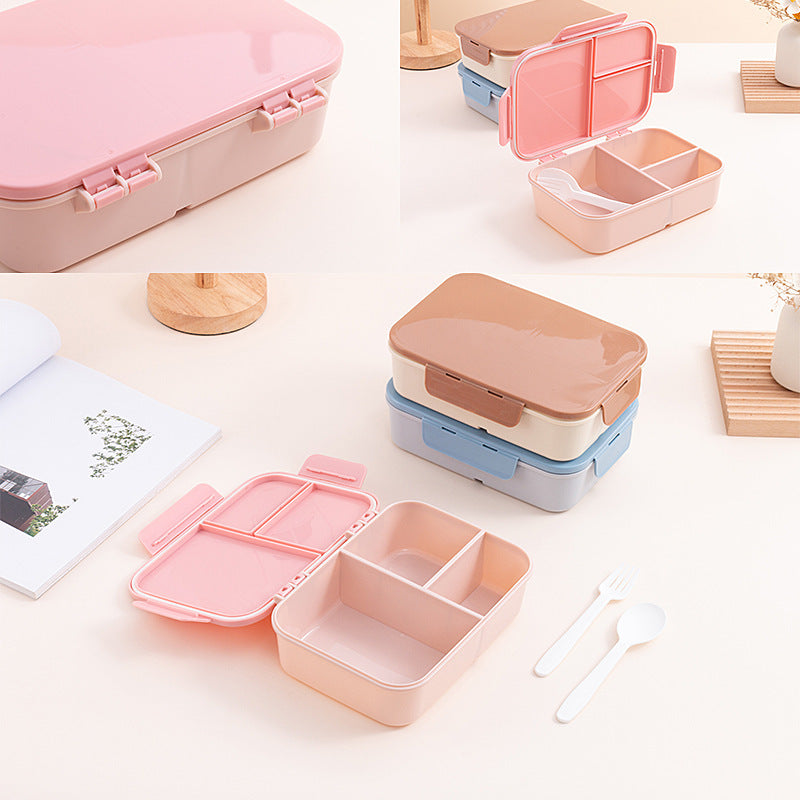 Mehrfachfächer Lunchbox