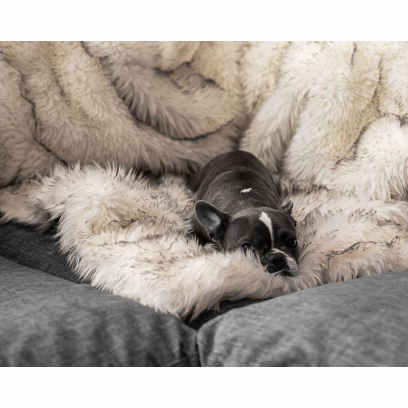 Damen luxuriöse Haustierfreundliche Kuscheldecke Brehn