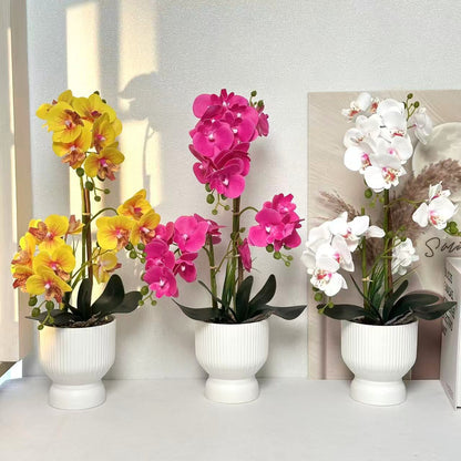Dekorative Orchideenpflanzenarrangement 1790480695 für Dekor