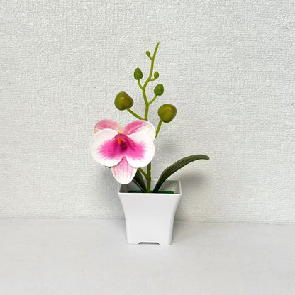 Lebensnahe Miniatur-Orchideenpflanze
