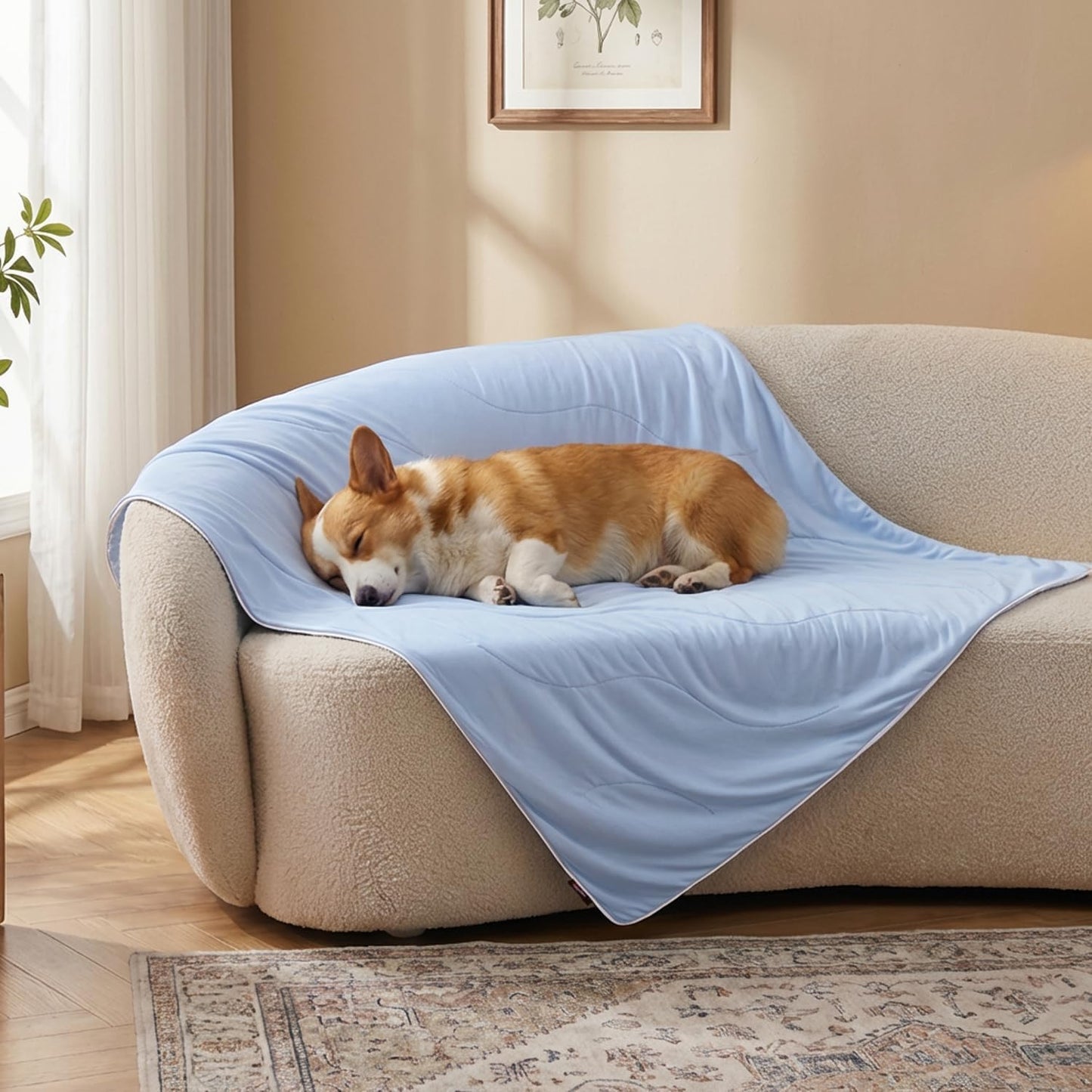 Verstellbare Hundematte Decke