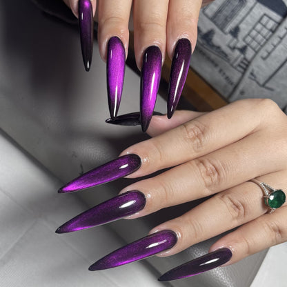 Glänzende Stiletto-Nagelverlängerungen Brehn