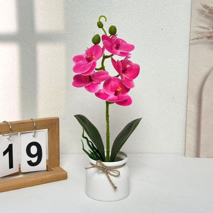 Lebensechte Orchideenpflanzenanordnung für die Innendekoration
