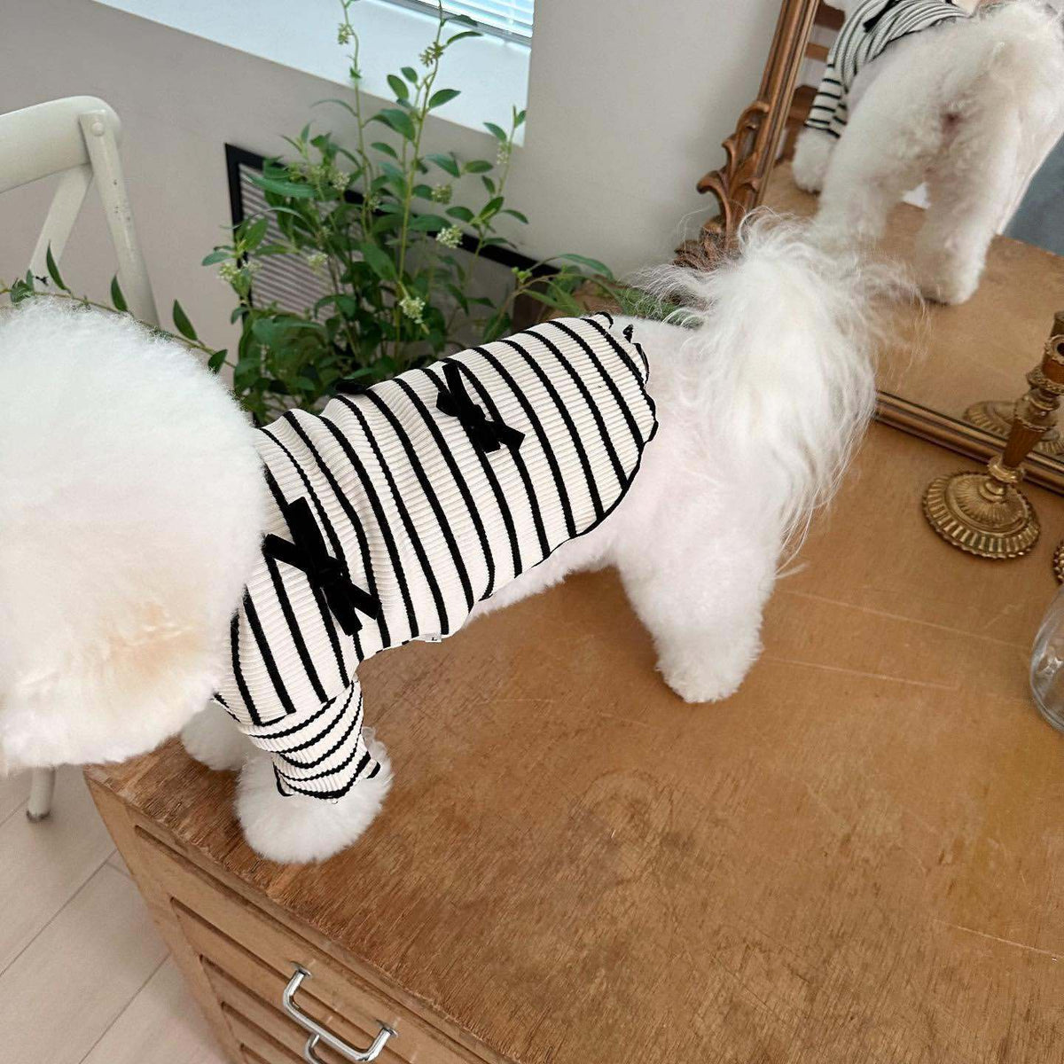 Rippstrick gestreiftes Strick-Hundekleid mit Rüschensaum & Akzent