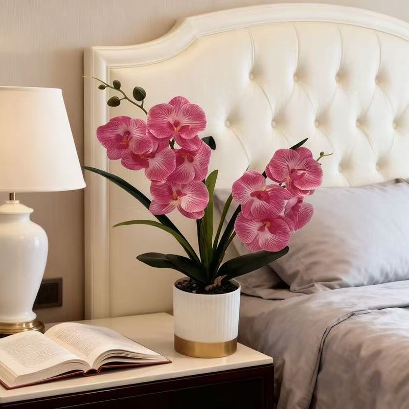 Orchideen-Blumen-Topfarrangement