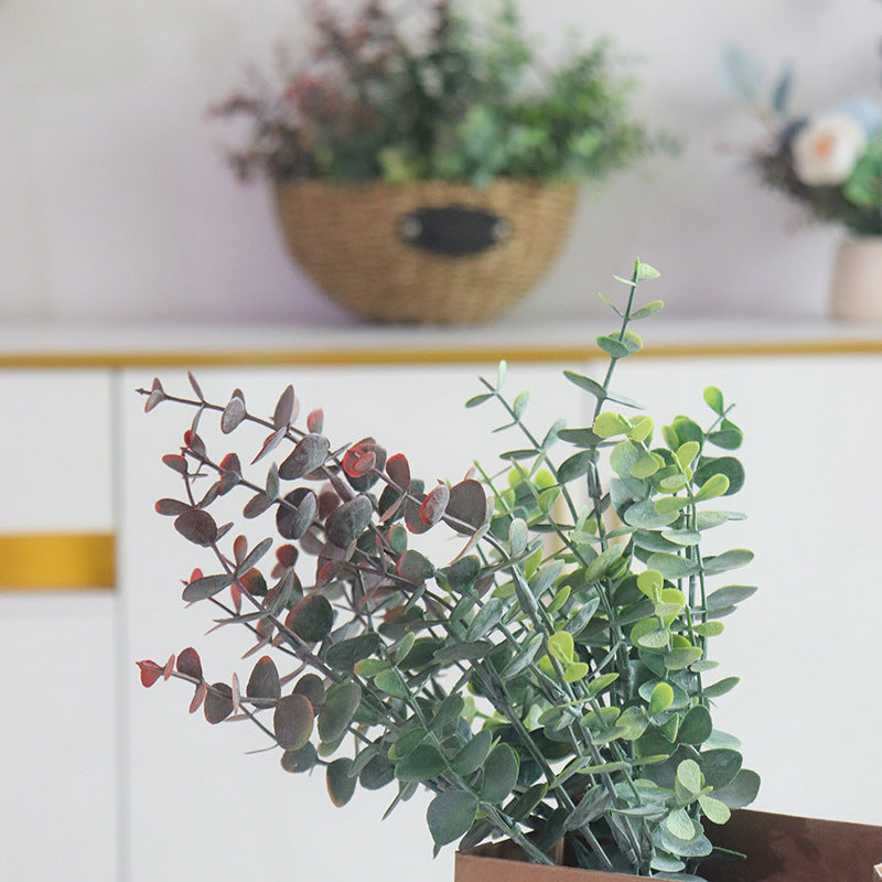 Dekorative Pflanzen
