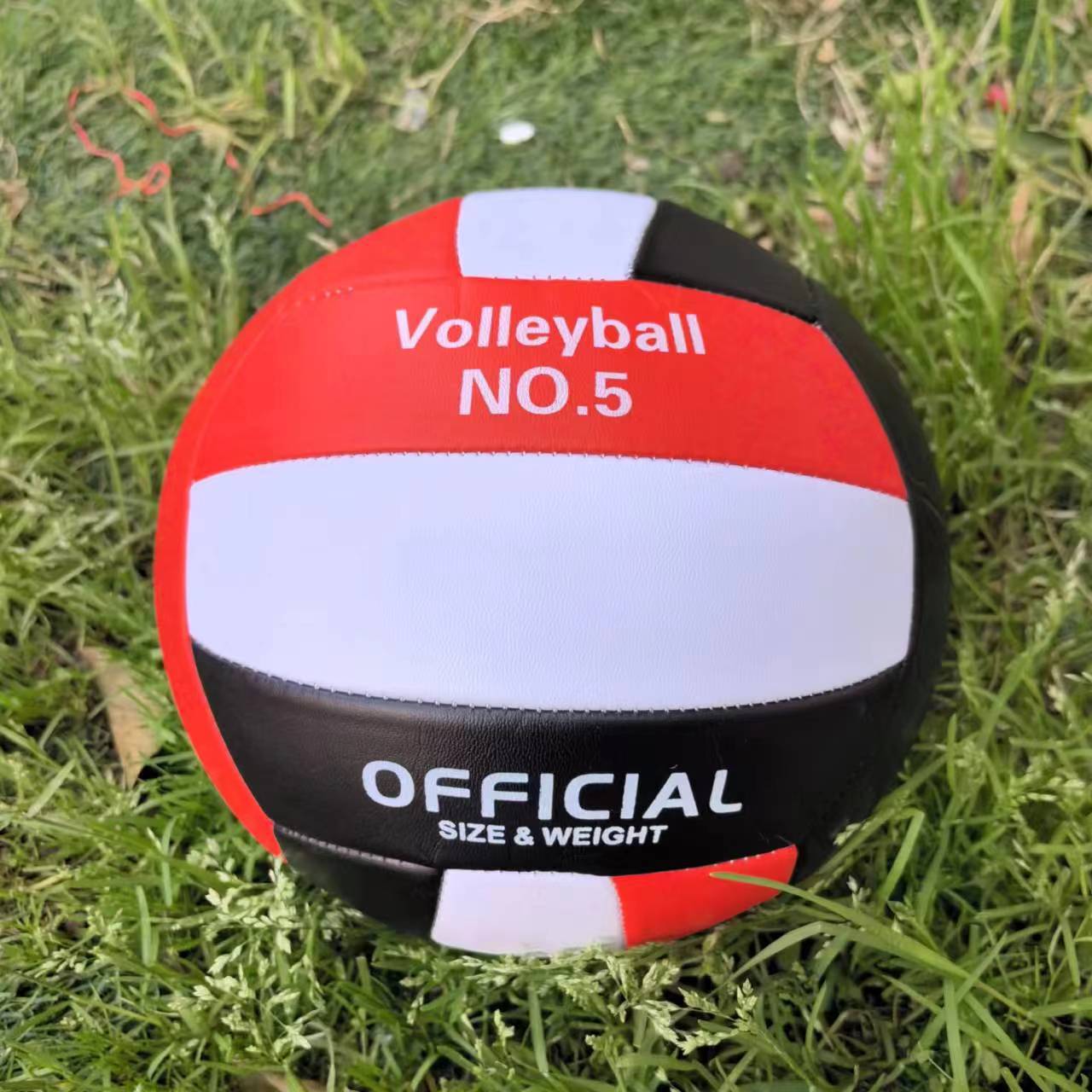 Damen Volleyball Brehn