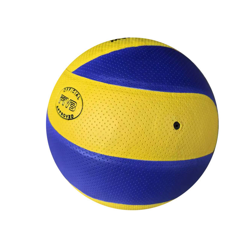 Damen Hochleistungs Volleyball Brehn