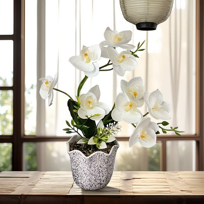 Dekorative florale Orchideenarrangement für die Wohnkultur