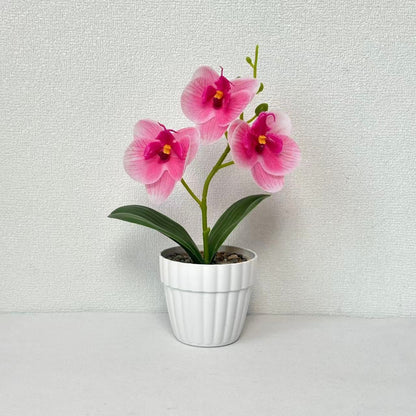 Dekorative Künstliche Orchideenarrangement für Dekorative Wohnraum Präsentation