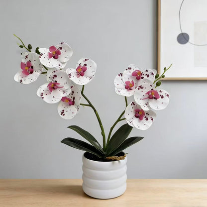 Lebensechte Orchideen Dekor