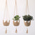 Macrame Pflanzenhänger