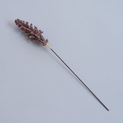 Elegante getrocknete botanische Stiele