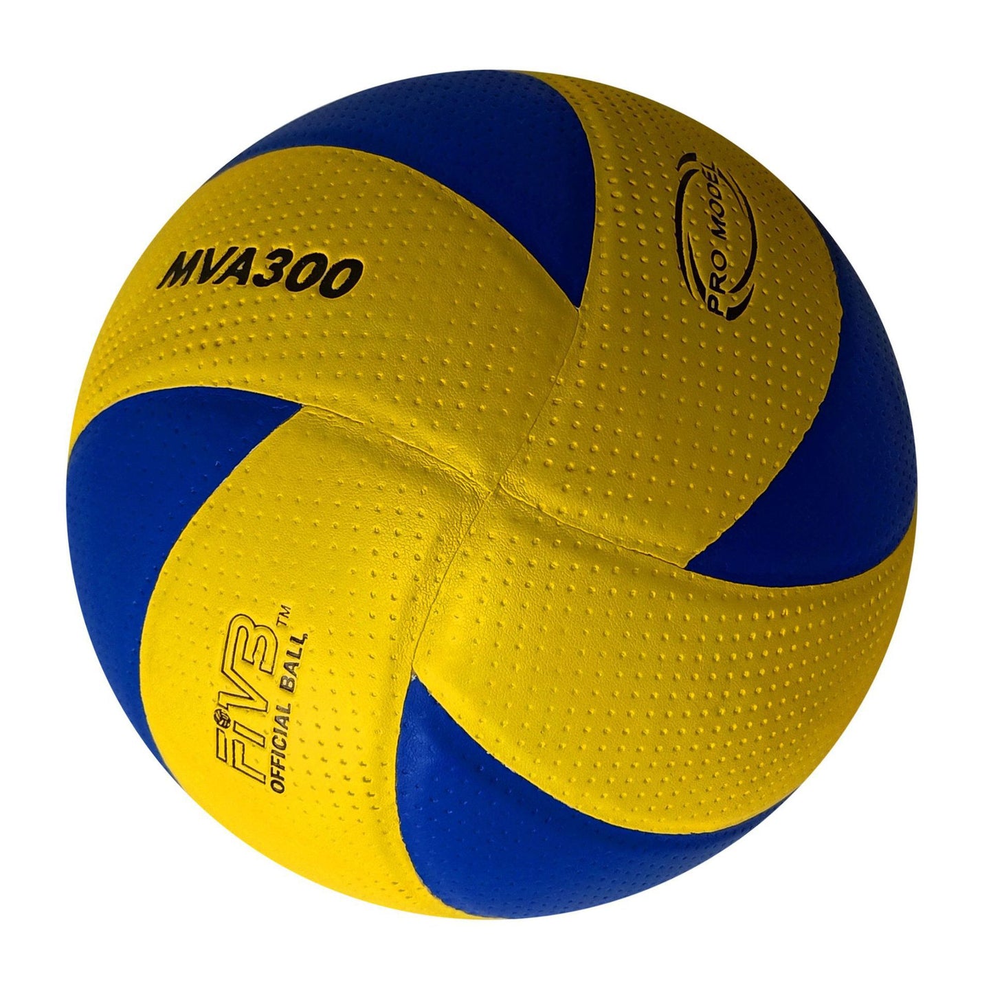 Damen Hochleistungs Volleyball Brehn