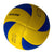 Damen Hochleistungs Volleyball Brehn