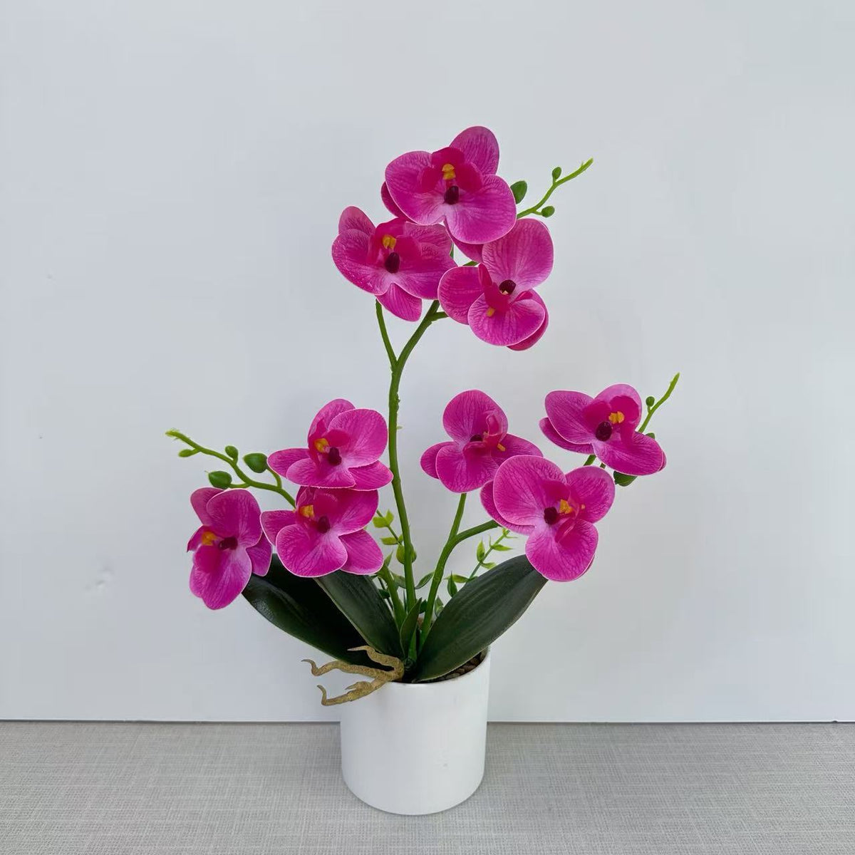 Dekorative Orchidee für die Wohnkulturanzeige