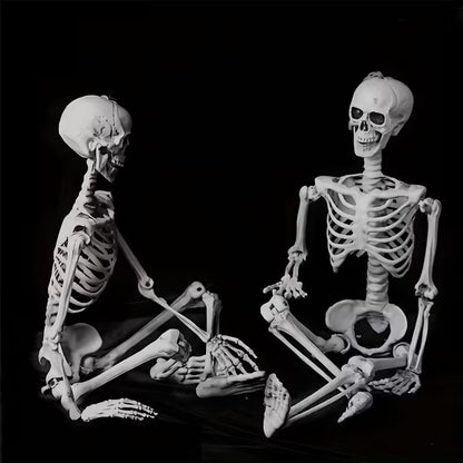 Anatomisches Lehrskelett