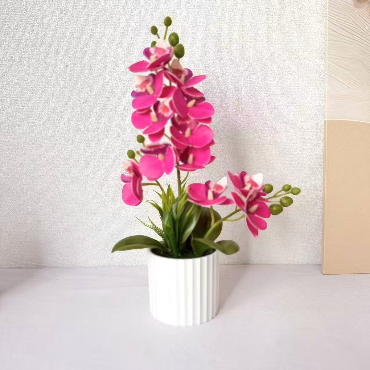 Realistische Indoor-Orchideenpflanzenanordnung