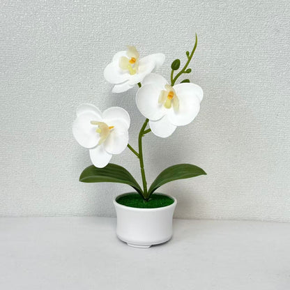 Künstliche Orchideenpflanze für die Innendekoration zu Hause und im Büro