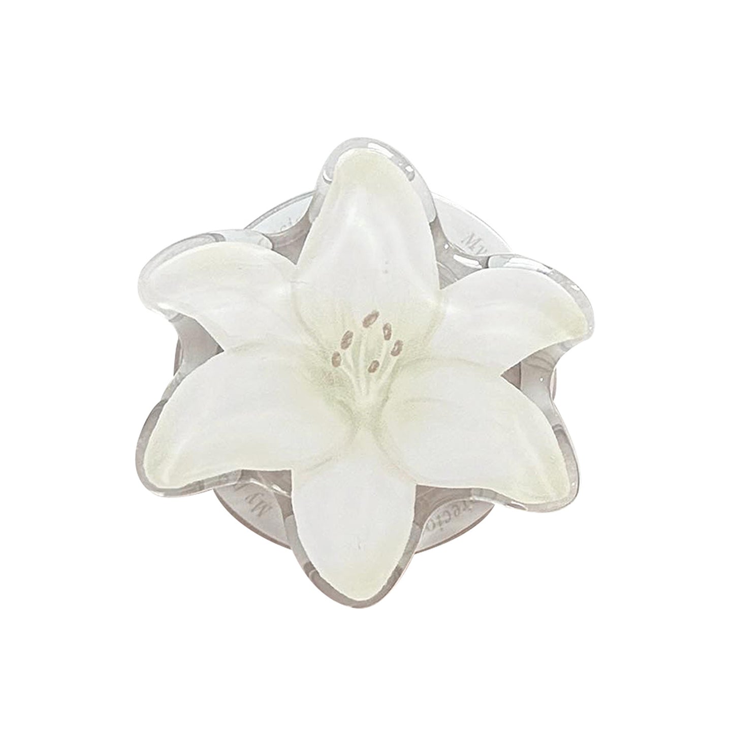 Luxus Handspiegel im floralen Design Brehn