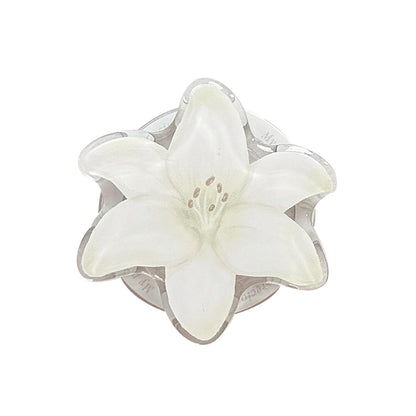 Luxus Handspiegel im floralen Design Brehn