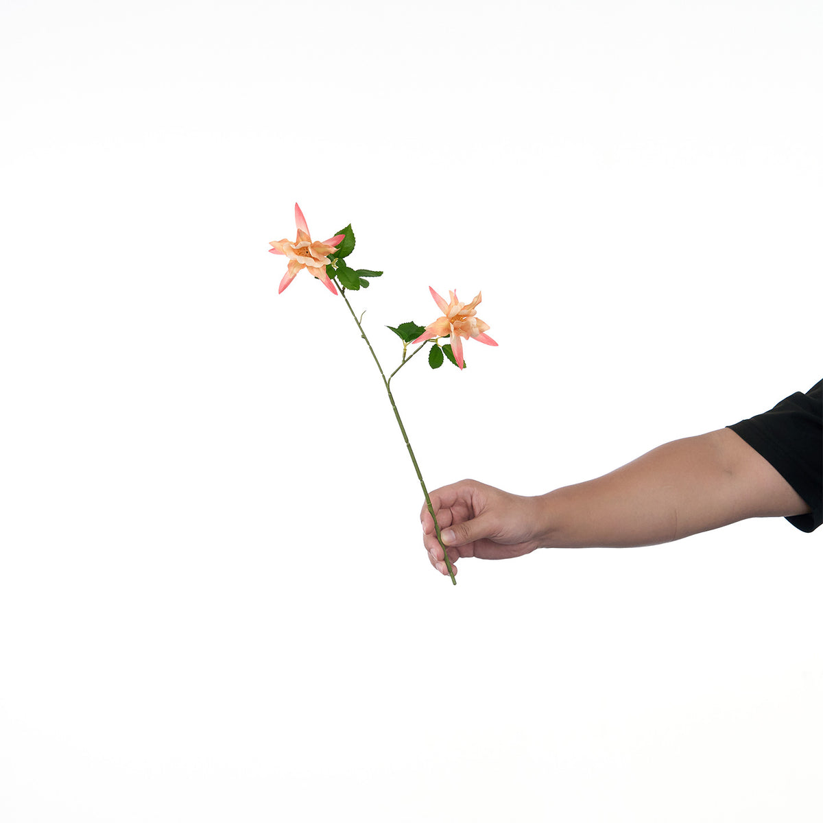 Lebensechte Mehrblütenblumenstiel