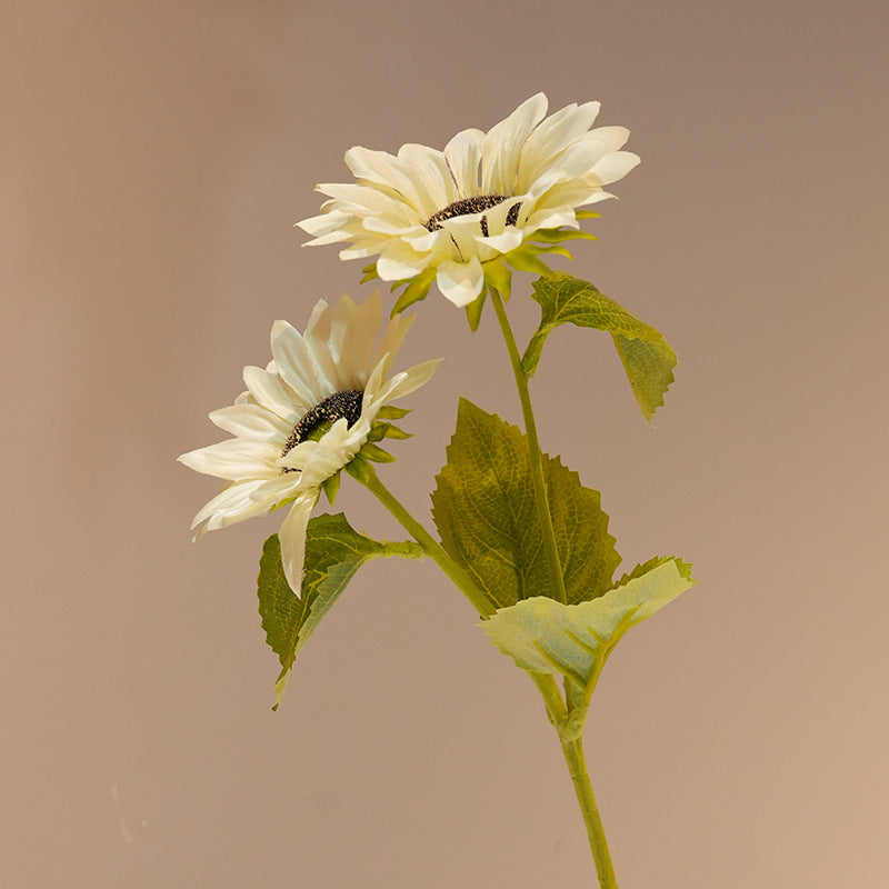 Dekorative Sonnenblume Brehn