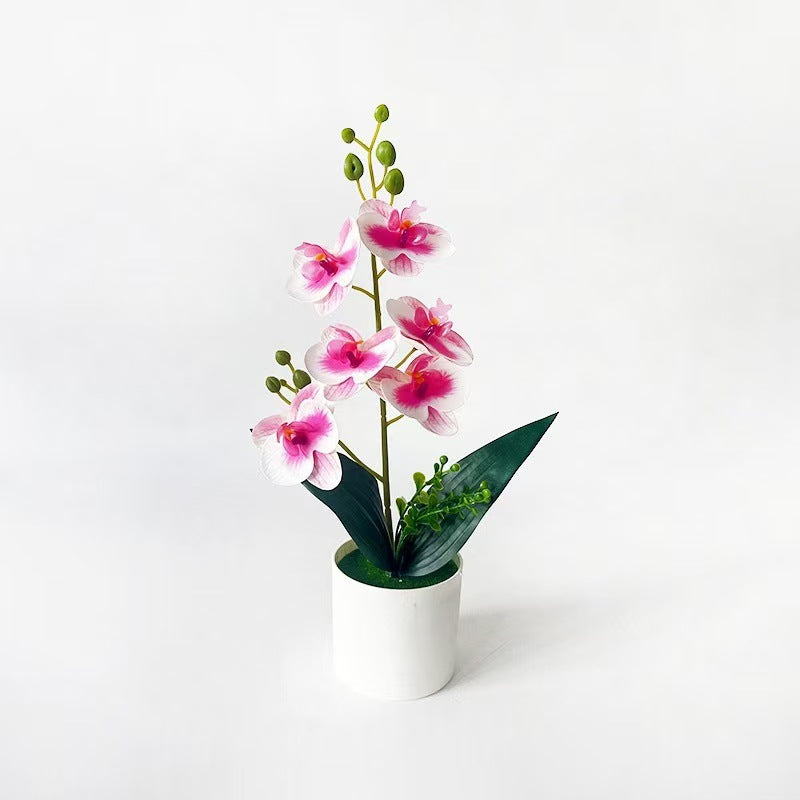 Elegante künstliche Orchideenpflanzenanordnung für die Innenausstellung