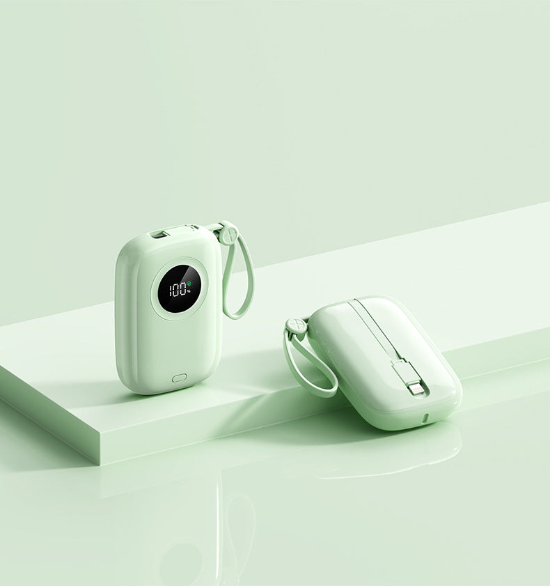 Tragbare Powerbank mit Digitaler Energieanzeige Brehn
