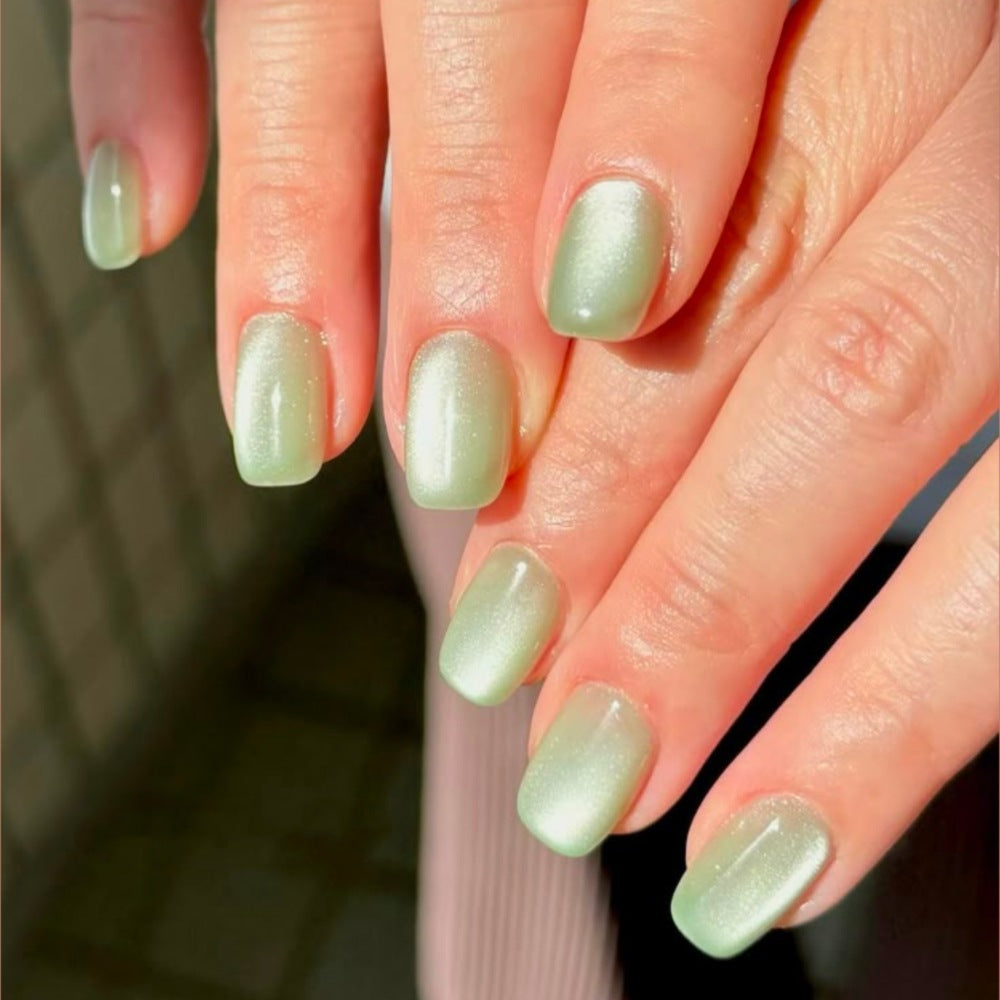Glänzende Ombre-Nagelspitzen Brehn