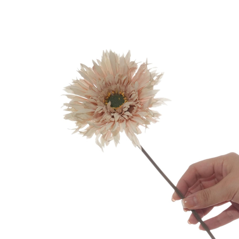 Lebensnahe Gerbera-Daisy-Stängel