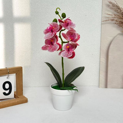 Dekorative Künstliche Orchidee für die Heimdekoration