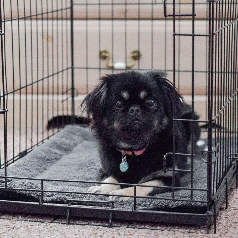 Unisex Kuscheliges Hundebett Brehn