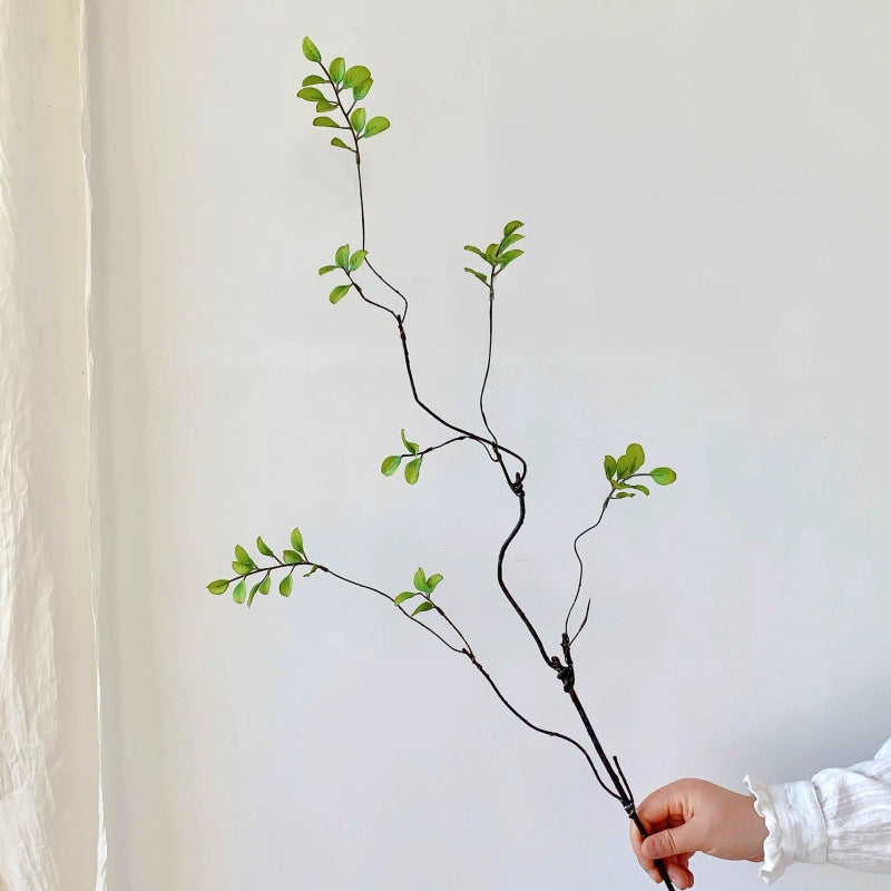 Dekorative natürliche Zweigarrangement