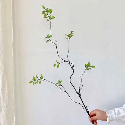 Dekorative natürliche Zweigarrangement