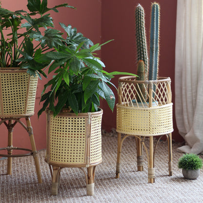 Stilvoller Pflanzenständer aus Rattan Brehn