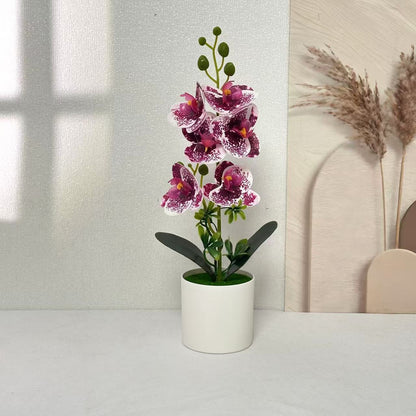 Elegante Orchideen Floral Centerpiece