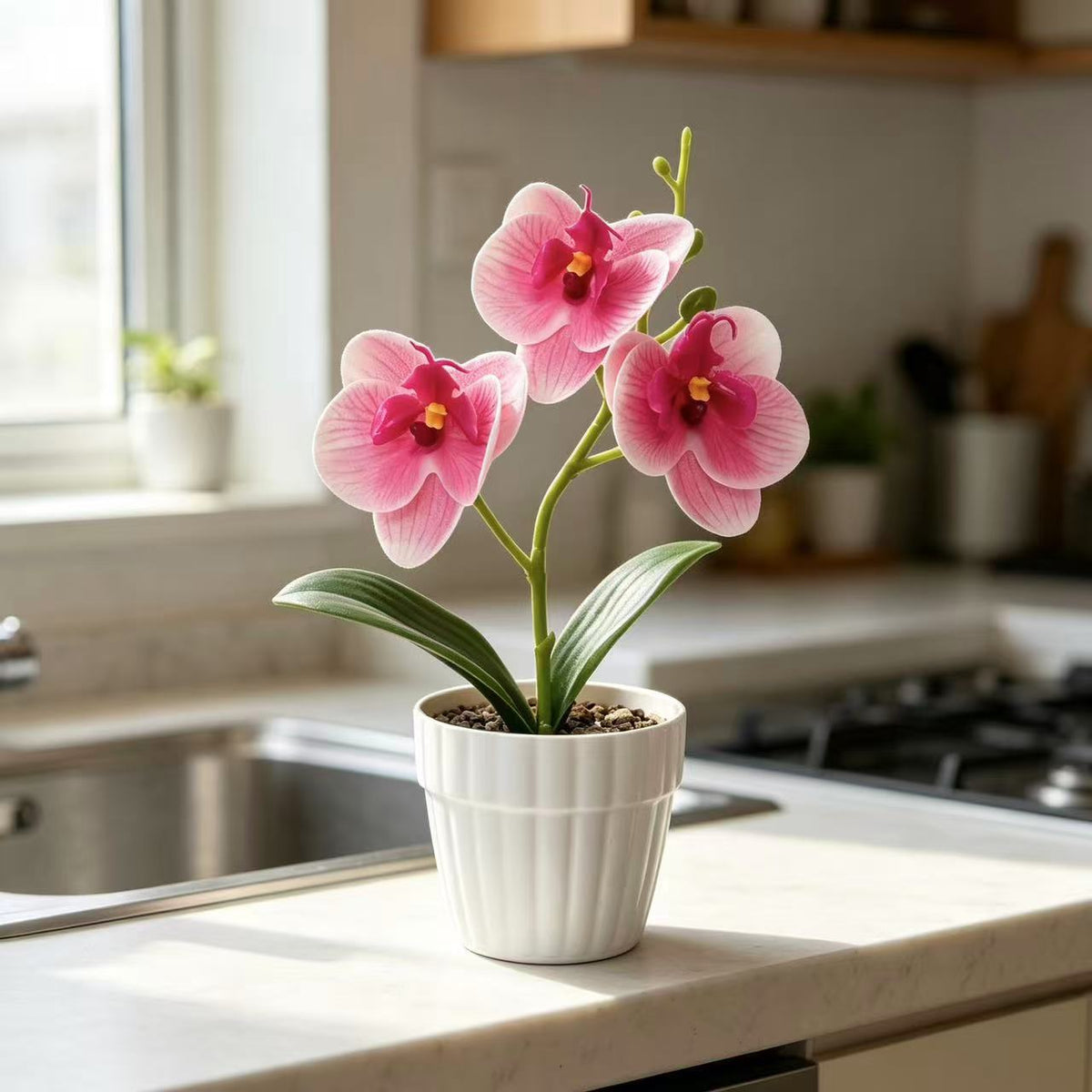 Dekorative Künstliche Orchideenarrangement für Dekorative Wohnraum Präsentation