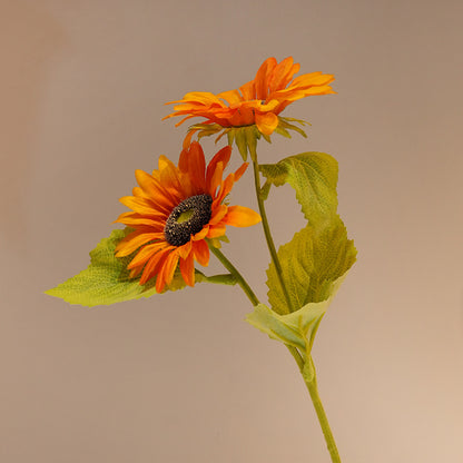 Dekorative Sonnenblume Brehn