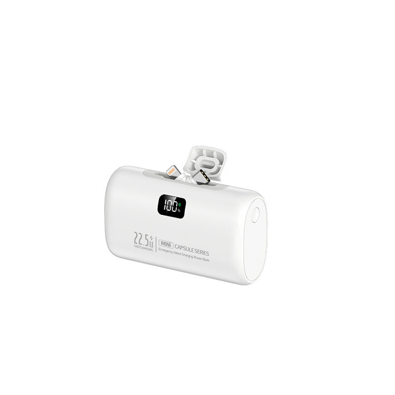 Tragbarer Powerbank mit Integriertem Ladegerät Brehn