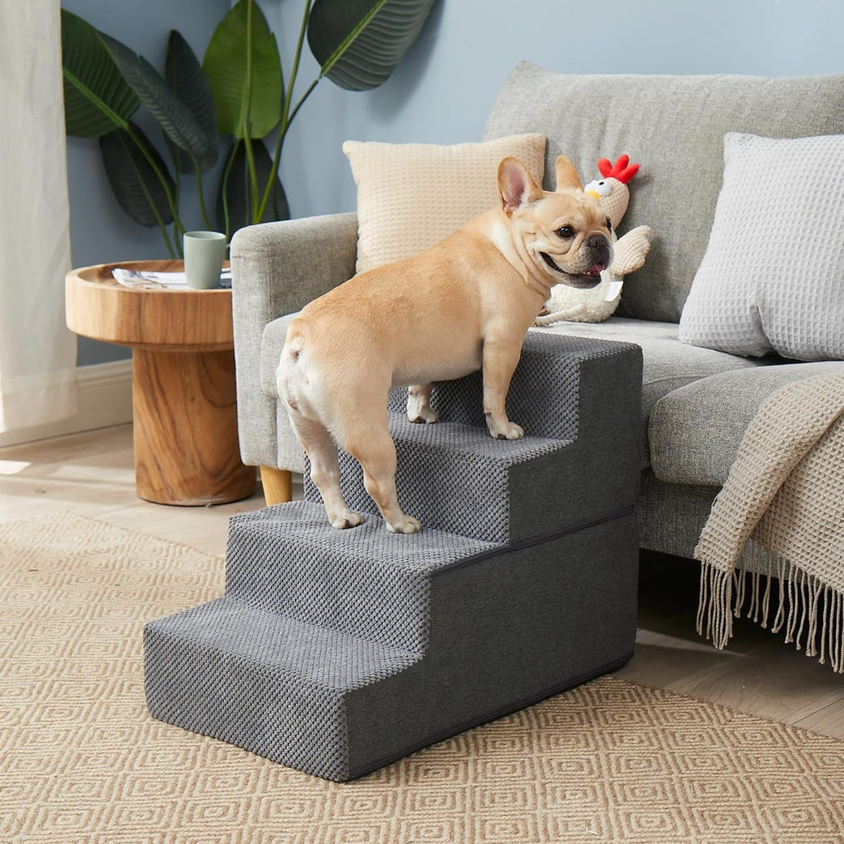 Haustier Treppe Brehn