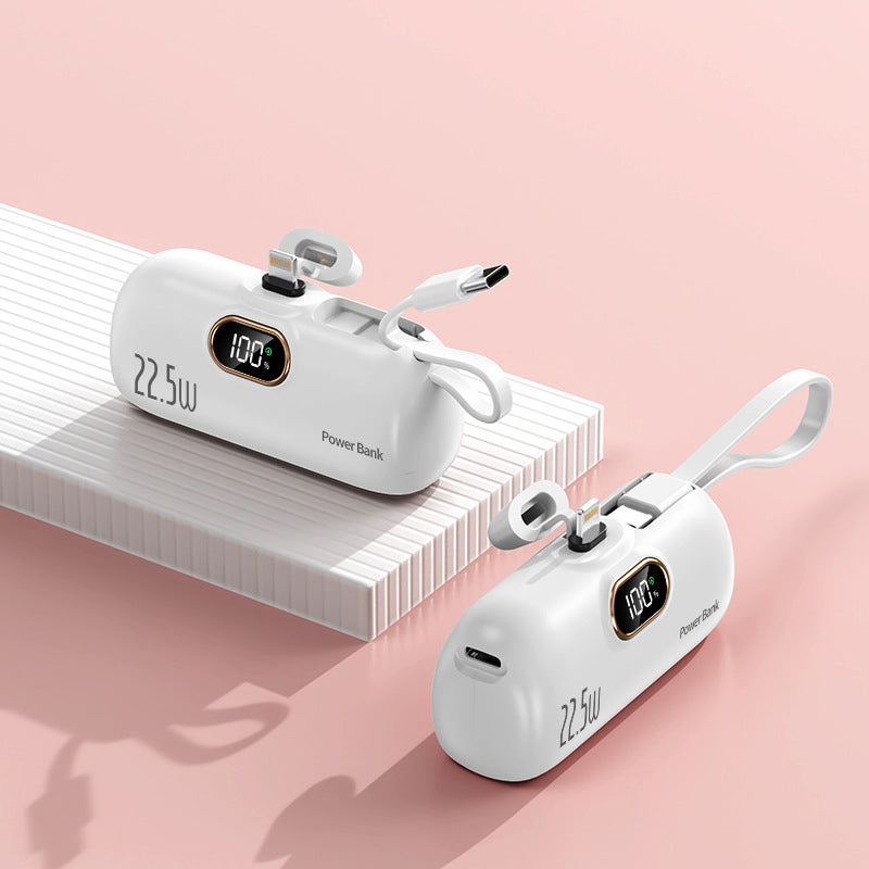 Tragbare Powerbank mit Schnellem Ladekabel und LED-Anzeige Brehn