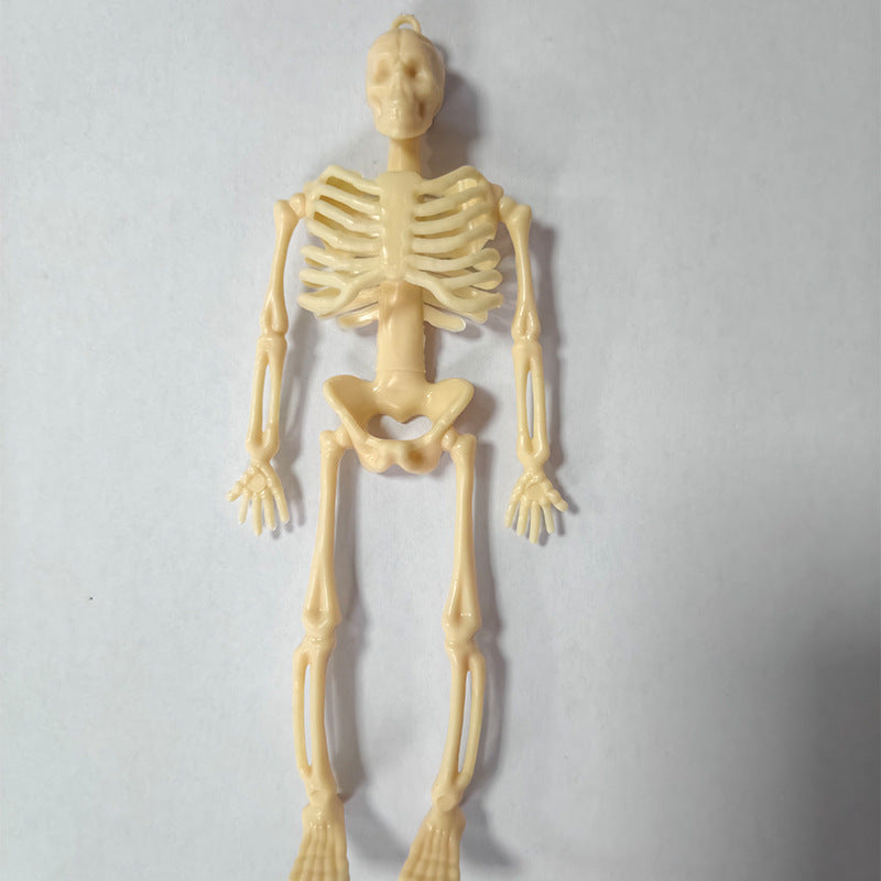 Miniatur anatomisches Skelett Brehn