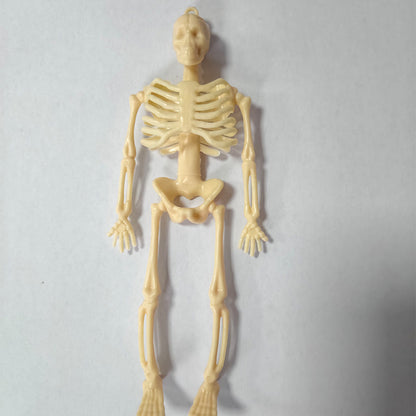 Miniatur anatomisches Skelett Brehn