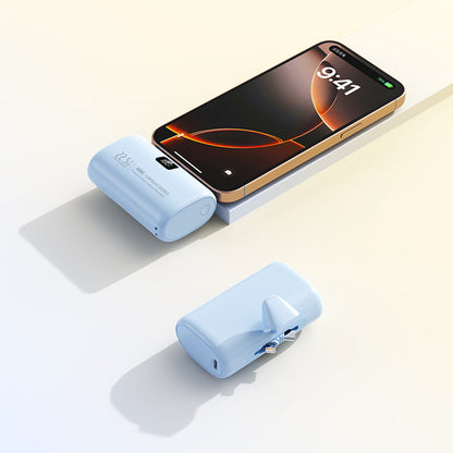 Tragbarer Powerbank mit Integriertem Ladegerät Brehn