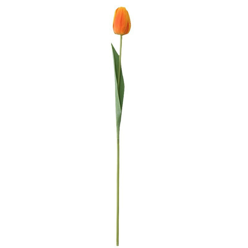 Realistische Tulpenblütenstängel